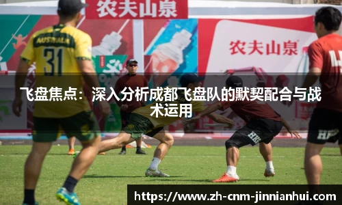 飞盘焦点:深入分析成都飞盘队的默契配合与战术运用